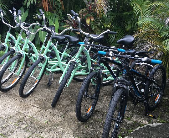 Cairns Bicycle Hire Oasis Inn Holiday Accommodation