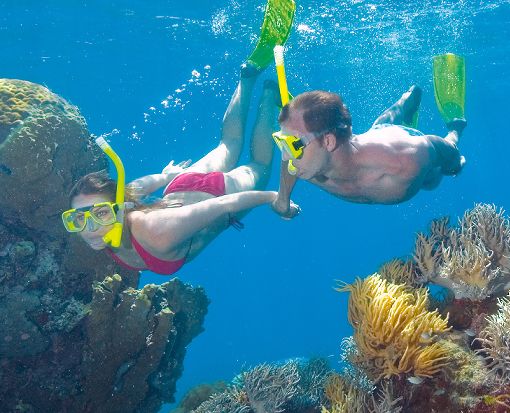 Cairns & Surrounds - Snorkelling