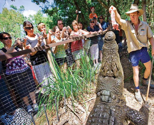 Cairns Tours & Attractions